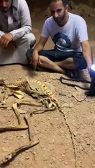 سعوديون يطالبون بتكريم خالد الشلاقي ورفيقيه بعد اكتشافهم "الفهد الصياد"