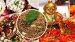 जन्माष्टमी पर कान्हा को जरूर लगाएं धनिया पंजीरी का भोग | Dhaniya Panjiri Recipe | Boldsky *Religious