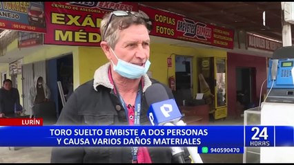 Lurín: toro suelto embiste a dos personas y causa daños materiales