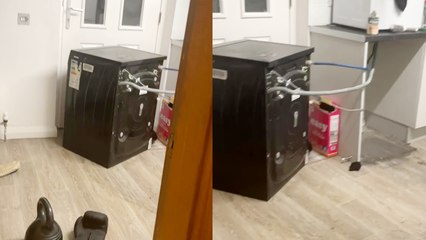 'Woman left in awe after seeing that her washing machine could WALK!'