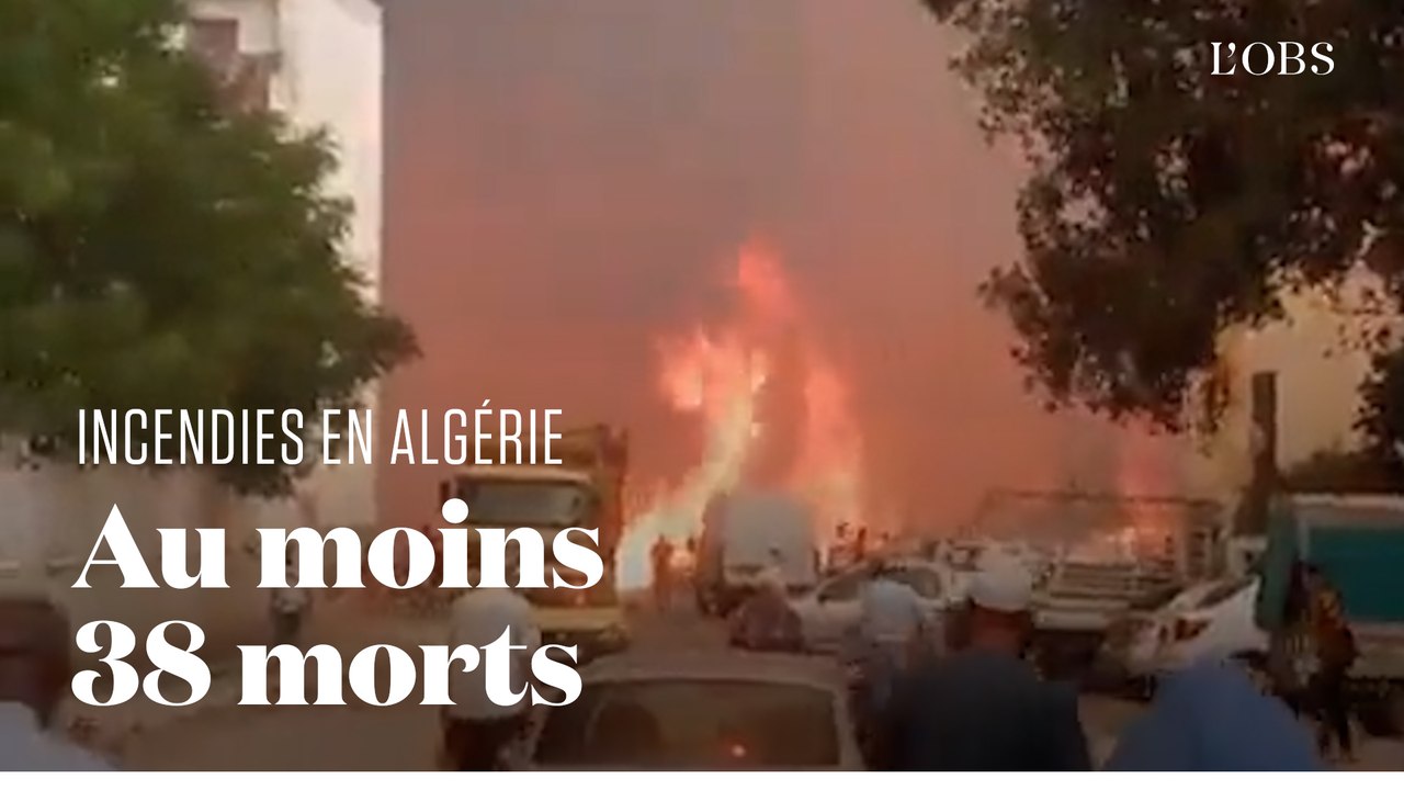 Des feux de forêt ravagent l'Algérie depuis plusieurs jours