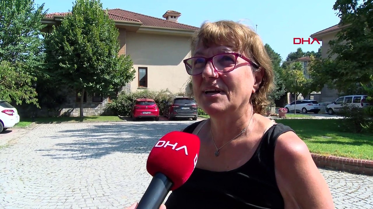 Okla vurulan leylek çatıya kondu