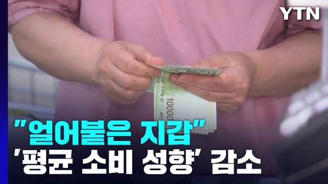 얼어붙은 지갑 ...가계 소득 늘어도 실질 소비 '제자리' / YTN