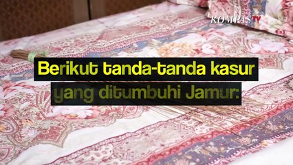 Jangan Jorok Ya! Begini Tanda-tanda Kasur Ditumbuhi Jamur