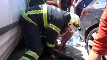 Edirne'de araçta bırakılan köpek havasızlıktan öldü