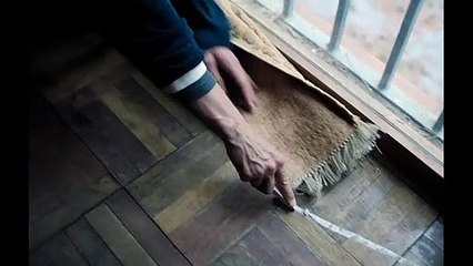 JAULA. Tráiler Oficial. Exclusivamente en cines 9 de septiembre.