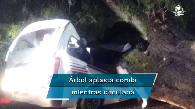 Árbol aplasta combi en Tlalnepantla; chofer muere y una mujer resulta lesionada