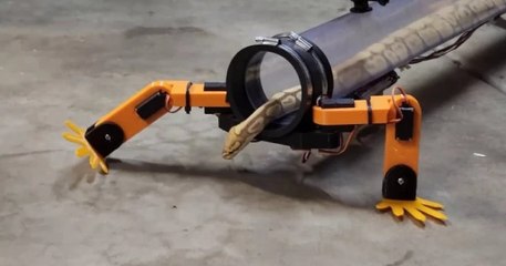Un YouTubeur crée un exosquelette adapté aux serpents pour leur rendre leurs pattes