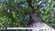 Le Journal - 18/08/2022 - INCENDIES / Les propriétaires forestiers misent sur la prévention