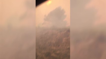 La maquinista del tren de Bejís: "Me tienen que autorizar la vuelta"