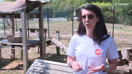 Ευρώπη: Τα κατοικίδια «θύματα» του πληθωρισμού