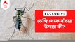 Dengue: সাধারণ জ্বর এবং ডেঙ্গির জ্বরের মধ্যে পার্থক্য কোথায়? ডেঙ্গির ধরন ও উপসর্গগুলো কী কী? Bangla News