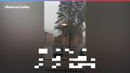 Maltempo a Pesaro, il vento spezza il pino simbolo di Borgo Pace