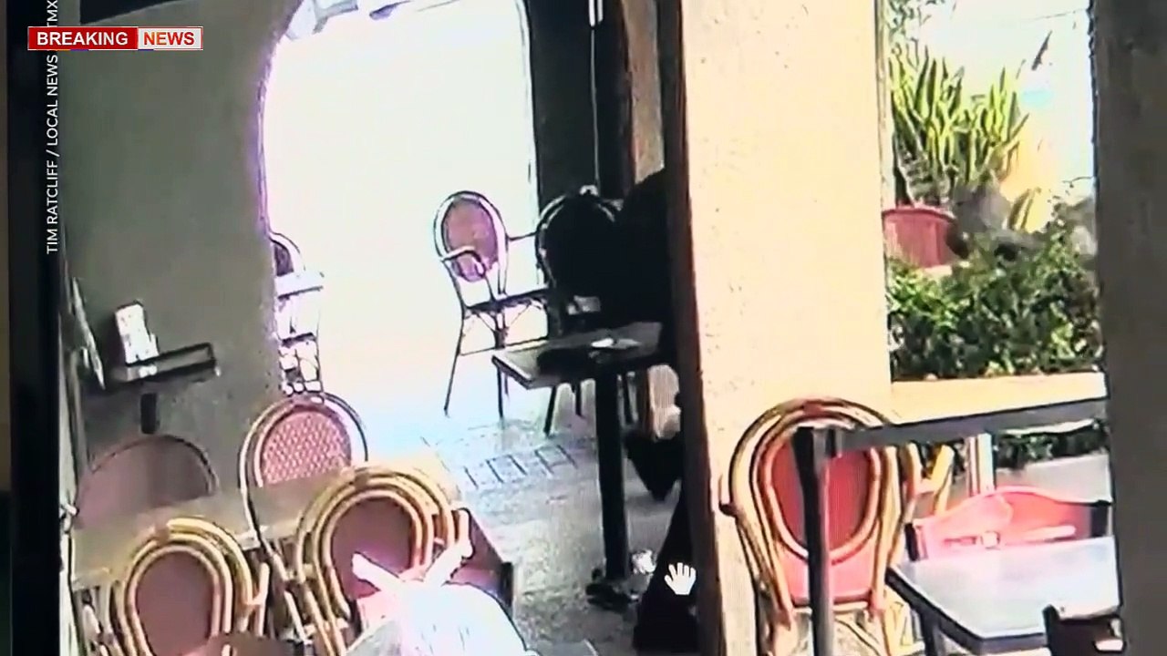 Good Samaritan chases and tackles an alleged attacker