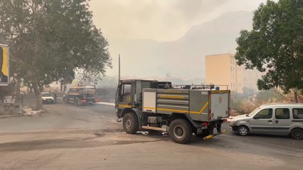Roghi a Palermo, un residente racconta: "Era un inferno"