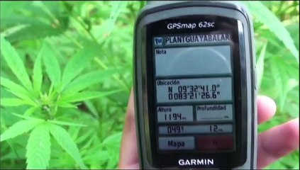 MARIHUANA RECREATIVA