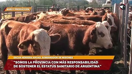 "Somos la provincia con más responsabilidad de sostener el estatus sanitario de argentina"