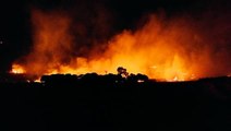 Aydın haberi... Söke ilçesinde ormanlık alanda çıkan yangına müdahale ediliyor