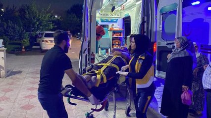 Ağaçtan düşen kişi yaralandı