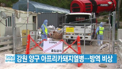 [YTN 실시간뉴스] 강원 양구 아프리카돼지열병...방역 비상 / YTN