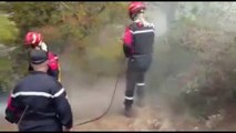 Cezayir'deki orman yangınlarında can kaybı 41'e yükseldi