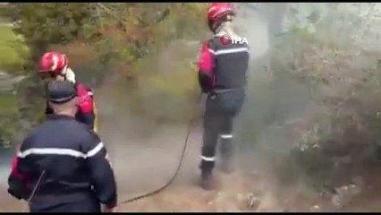 Cezayir'deki orman yangınlarında can kaybı 41'e yükseldi