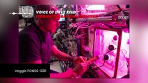Plantações no espaço: Estação Espacial Internacional vai abrigar estufa