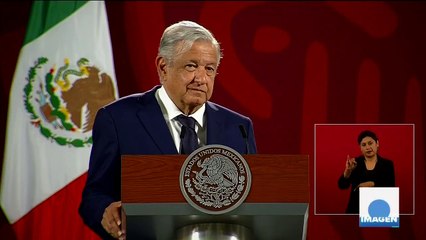 Denuncian la invasión de jabalíes en ciudades de España