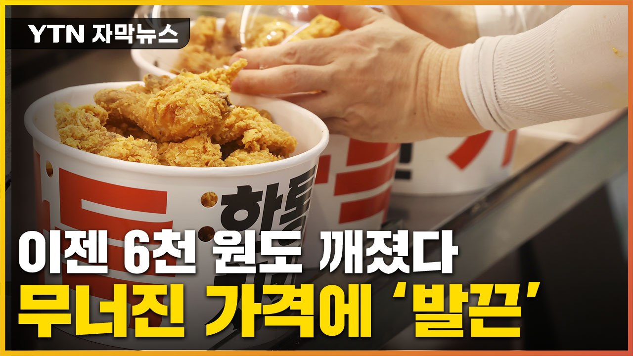 [자막뉴스] 너도 나도 내리는 치킨값에..."생존 위협" 발끈 / YTN