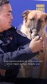 Un perro policía y una ave rescatada se convirtieron en mejores amigos