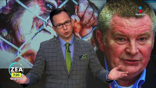 OMS pide a contagiados de viruela del mono no exponer a sus mascotas