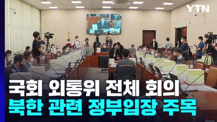 국회 외통위 전체 회의...北 담화문, 정부 입장 주목 / YTN