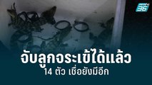 จับลูกจระเข้ได้แล้ว 14 ตัว เชื่อยังมีอีก | โชว์ข่าวเช้านี้ | 19 ส.ค. 65