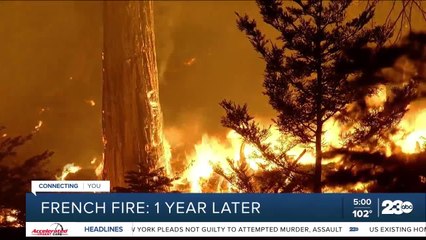 Looking back at the French Fire: one year later