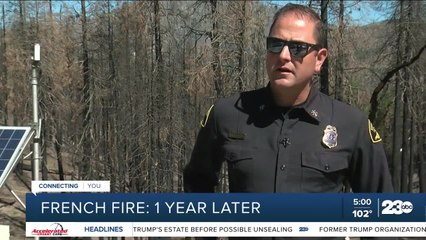 Looking back at the French Fire: one year later