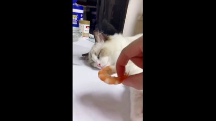 When you wake up from the dream...