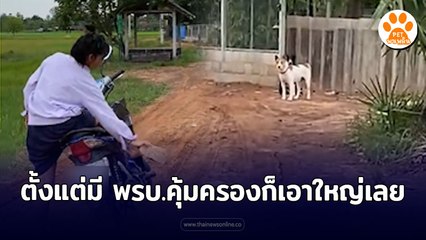 ตั้งแต่มี พรบ.คุ้มครอบสัตว์ ก็เอาใหญ่เลยนะ