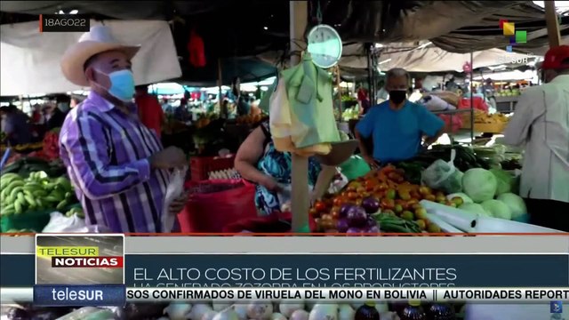 Productores de frijoles en Honduras enfrentan riesgo de no tener cosechas