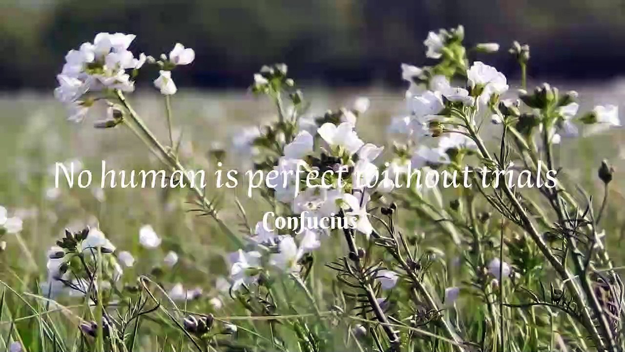 no human is perfect without trials'' Confucius''