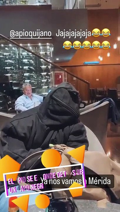 EL APIO SE ESCON DETRÁS DE UN SAPO NEGRO