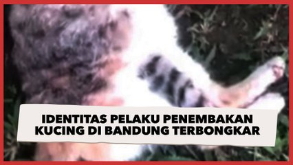 Akhirnya Terbongkar, Ini Sosok Brigjen NA Penembak Mati Kucing-kucing di Sesko TNI Bandung