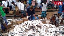 Chittagong Fishery Ghat is the capital of hilsa fish | Chittagong Fishery Ghat wholesale fish market