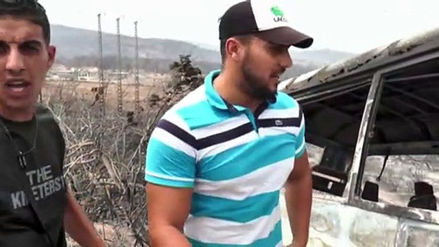 Алжир: не менее 38 человек погибли в лесных пожарах