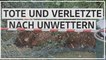 Schwere Unwetter in Österreich: Fünf Menschen getötet