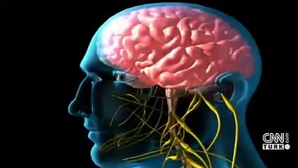 Beyin yapısı suç oranını etkiliyor mu?