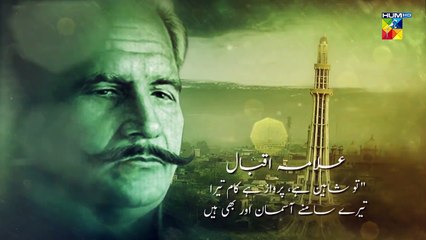 Azm e Aalishan - Shaad Rahe Pakistan | 2022