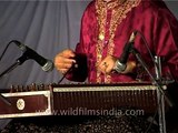 Santoor maestro Pandit Shiv Kumar Sharma performs in India
