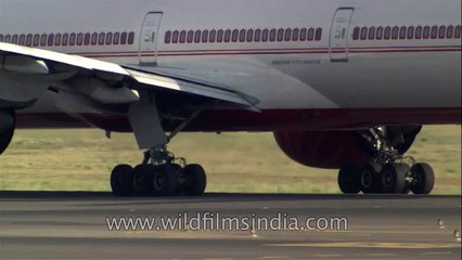 Air India plane taxis on runway - see how many tyres it has!