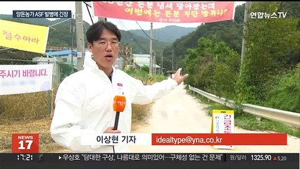 양구 양돈농가서 ASF 발병…농가 반대에 매몰 지연