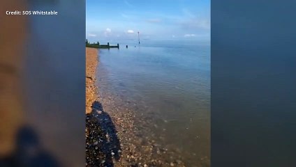 Leaked 'sewage' lapping the beach in Tankerton